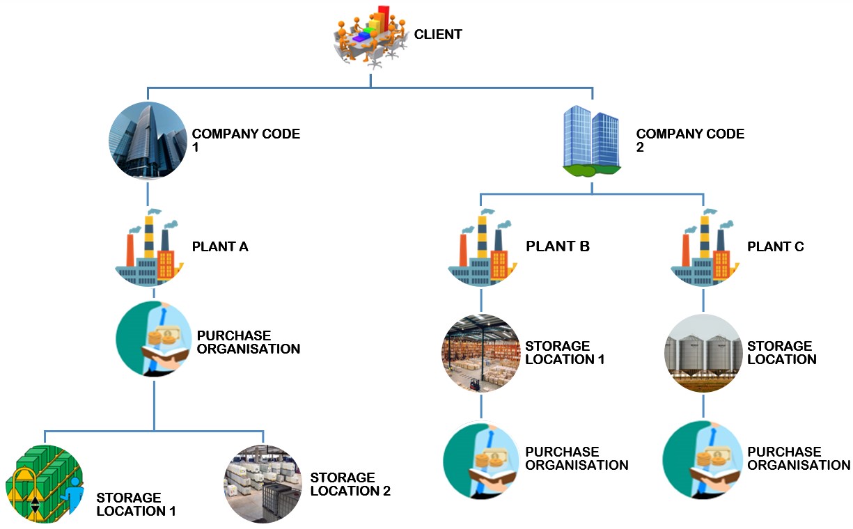 SAP : Organizational Structure